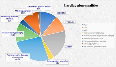 Cardiovascular Abnormalities and Gene Mutations in Children With Noonan Syndrome